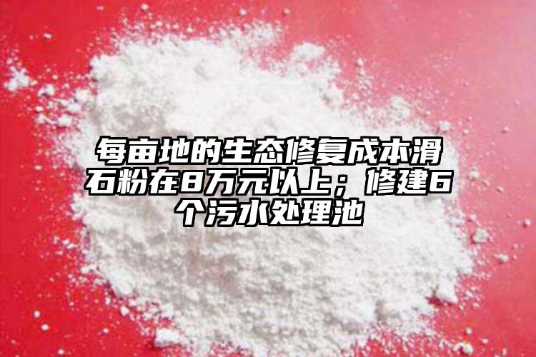 每畝地的生態(tài)修復(fù)成本滑石粉在8萬元以上；修建6個(gè)污水處理池